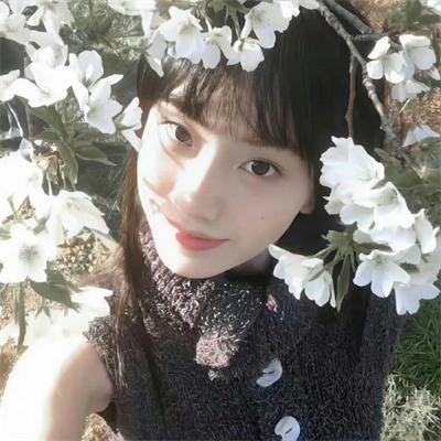 自然世界：动物之家